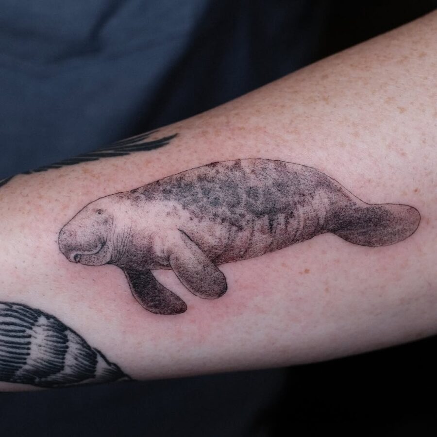 This tattoo features a beautifully rendered manatee in black and gray ink, highlighting its gentle curves and serene expression.