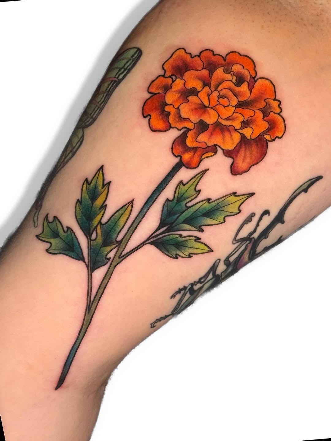 Vibrant marigold tattoo on the arm Tattoo Design
