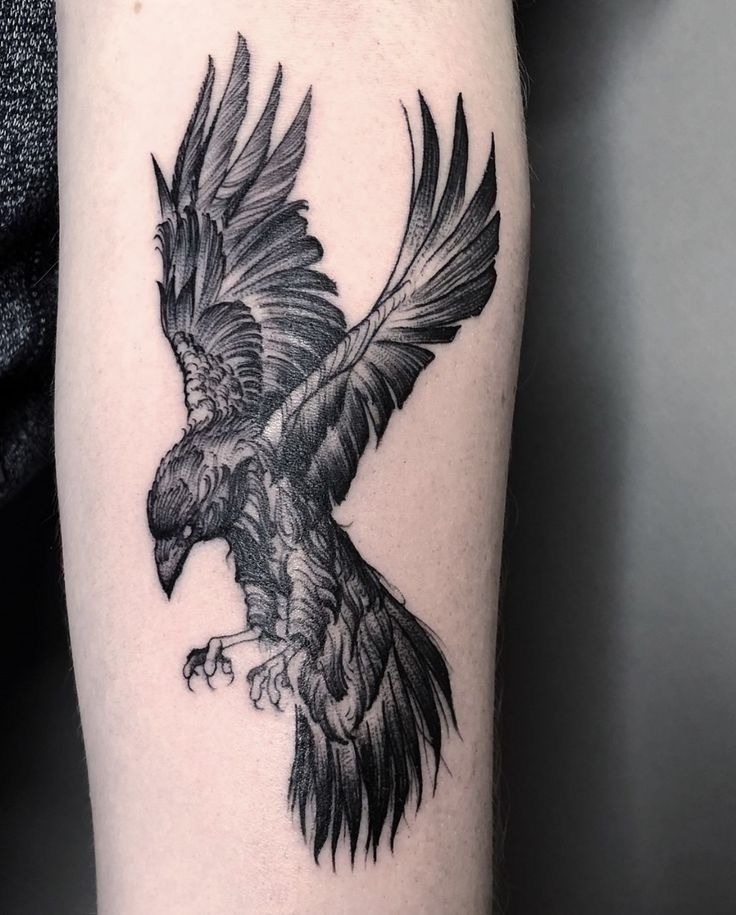 Intelligent Raven with a Book Inside a Triangle Tattoo Design