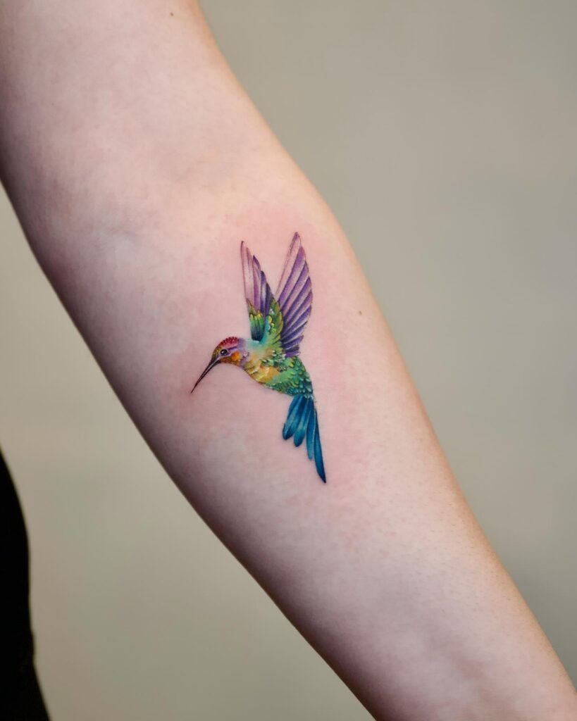 Black and Grey Hummingbird Chest Tattoo Tattoo Design