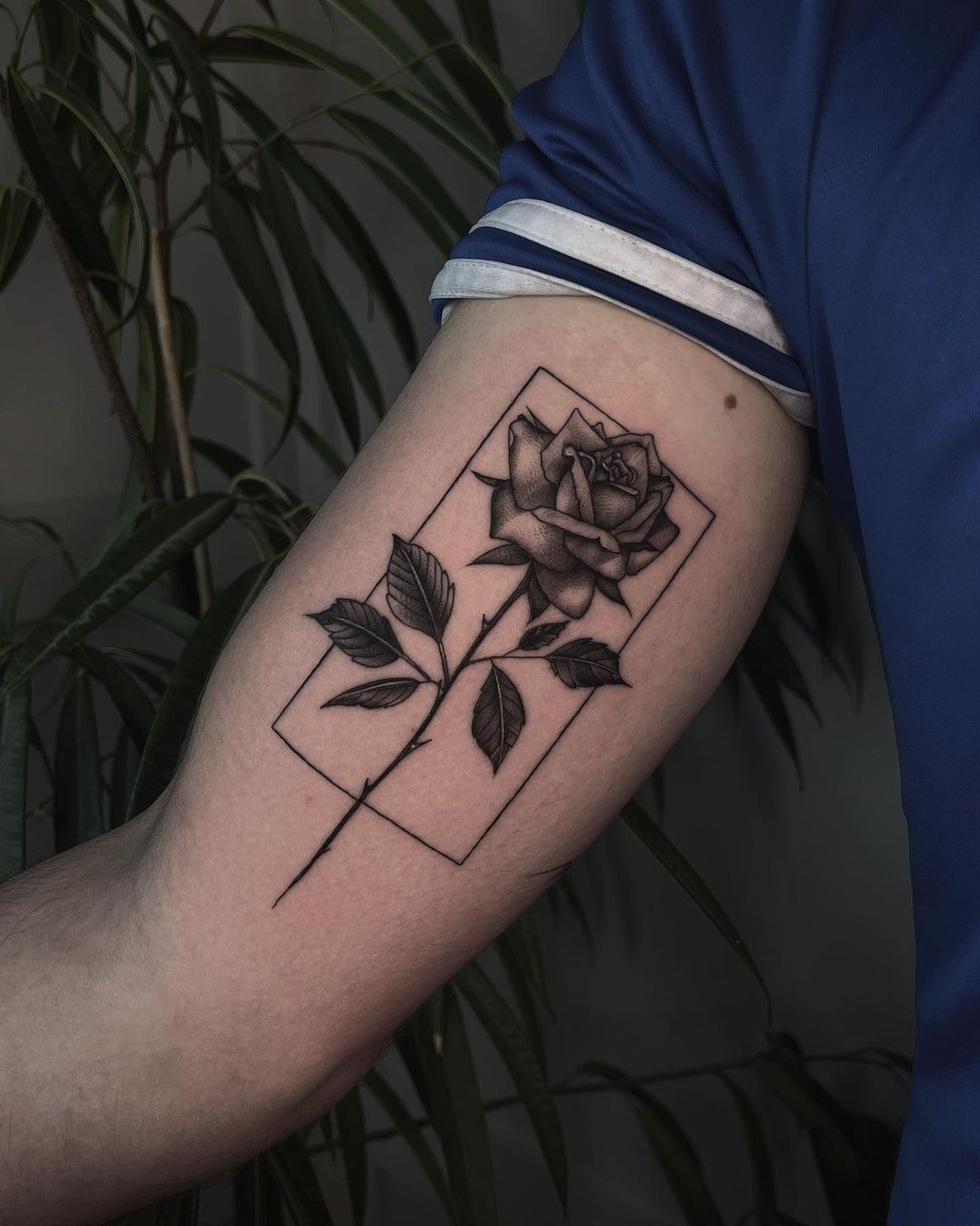 Minimal Rose Frame Inner Bicep Tattoo Tattoo Design