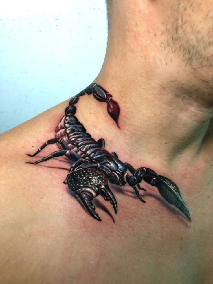 Realistic Scorpion Tattoo with 777 Tattoo Design