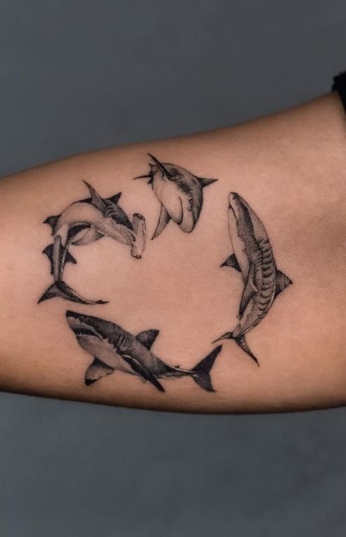 Circle of Sharks Tattoo Design