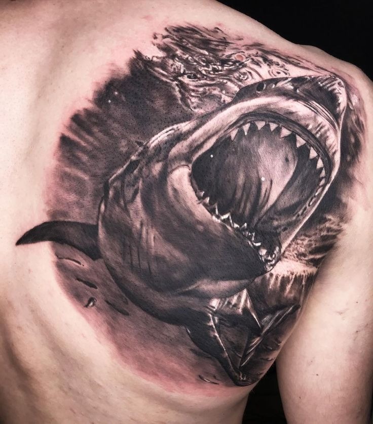 Color Splash Hammerheads Tattoo Design