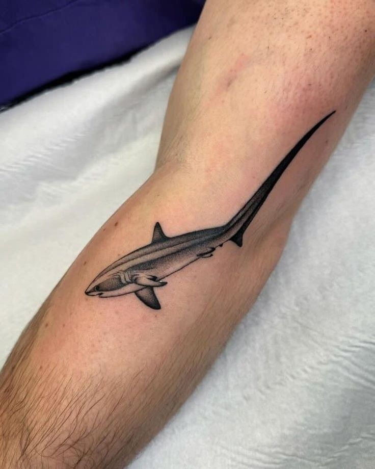 Elegant Thresher Shark with Long Tail Tattoo Design