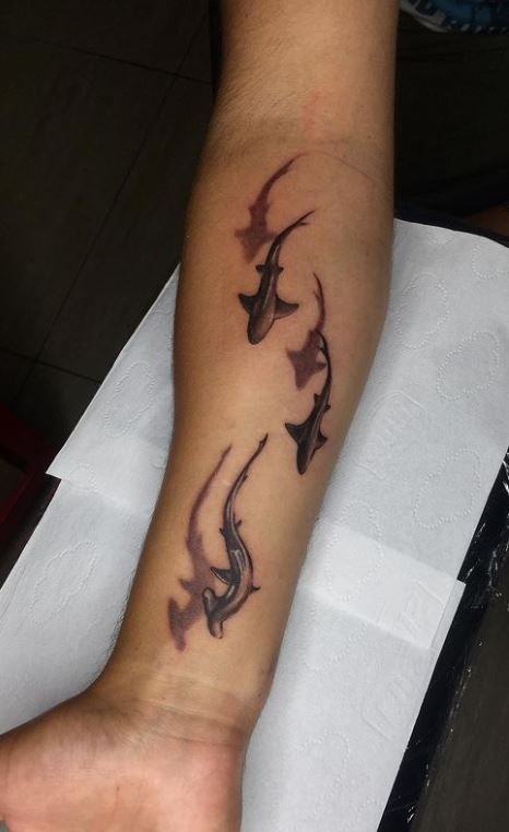 X-Ray Shark with Skeletal Details Tattoo Design