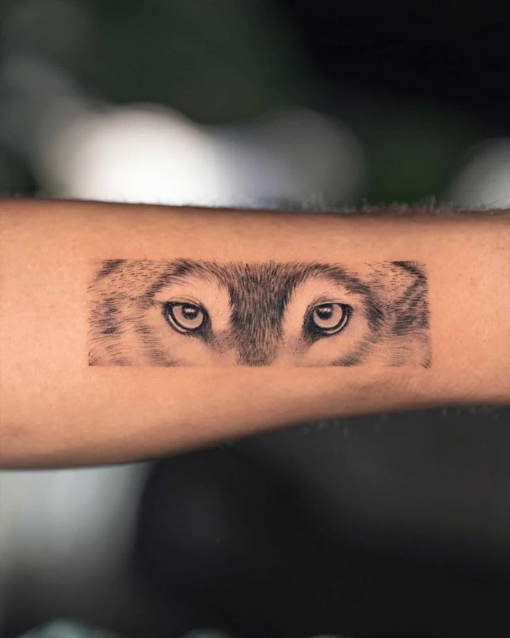 Wolf Eyes Forearm Tattoo - A Gaze Into the Wild Tattoo Design