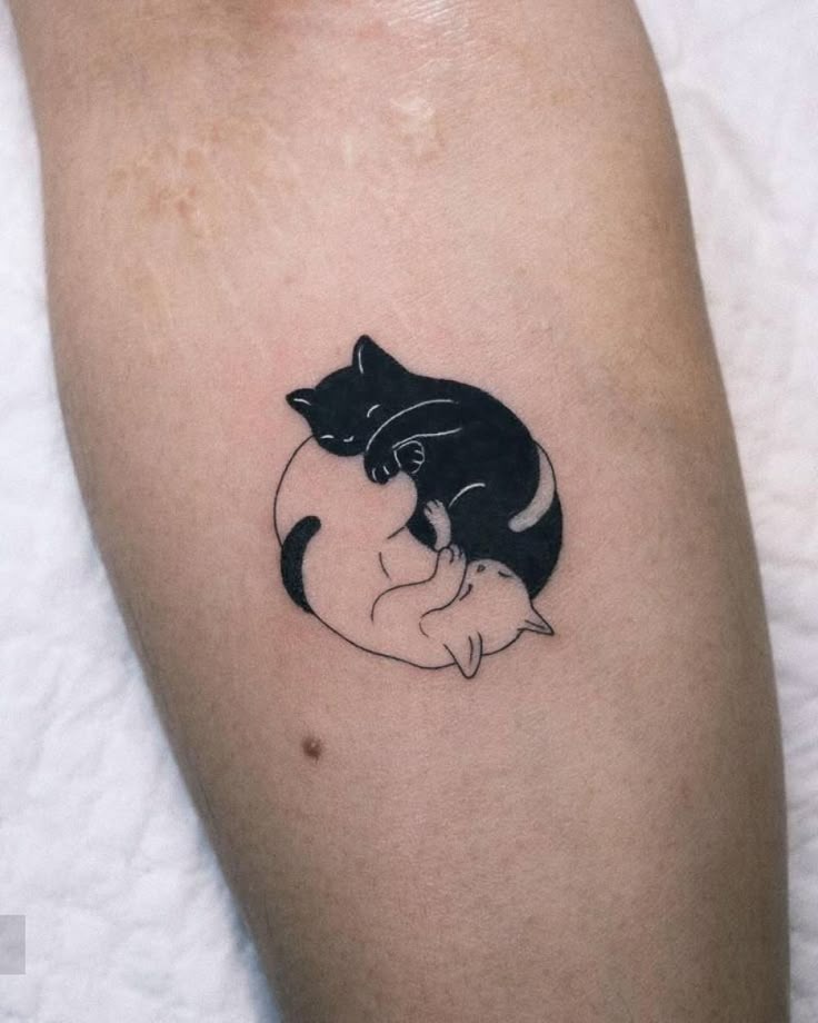 The design centers on playful kittens perfect balance imagery that reads clearly at a glance.