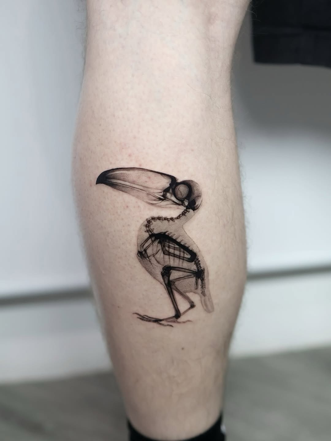 Striking minimalist bird skeleton tattoo design Tattoo Design