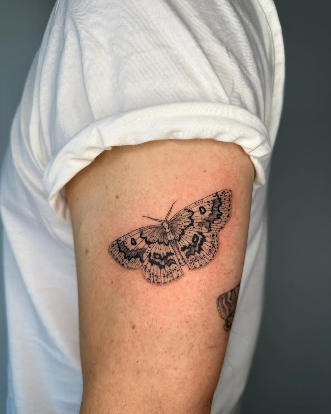 Intricate black ink moth tattoo on arm Tattoo Design