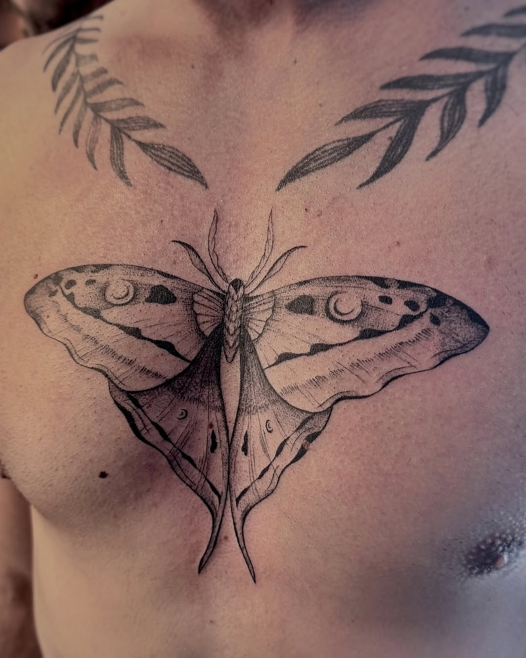 Intricate moth tattoo on chest design Tattoo Design