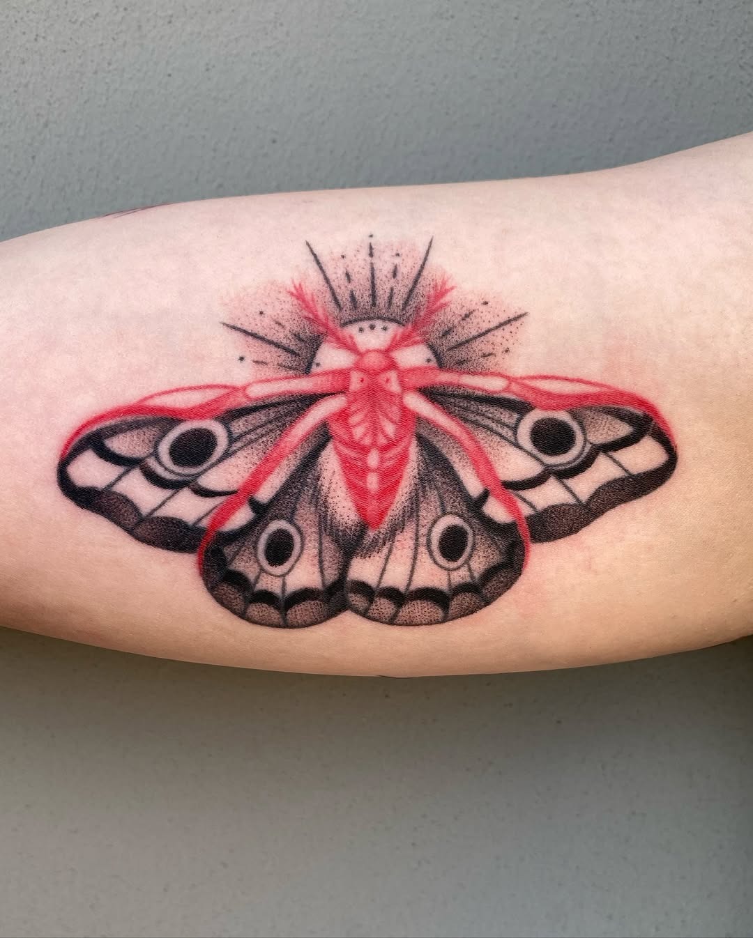 Intricate moth tattoo with striking red accents Tattoo Design