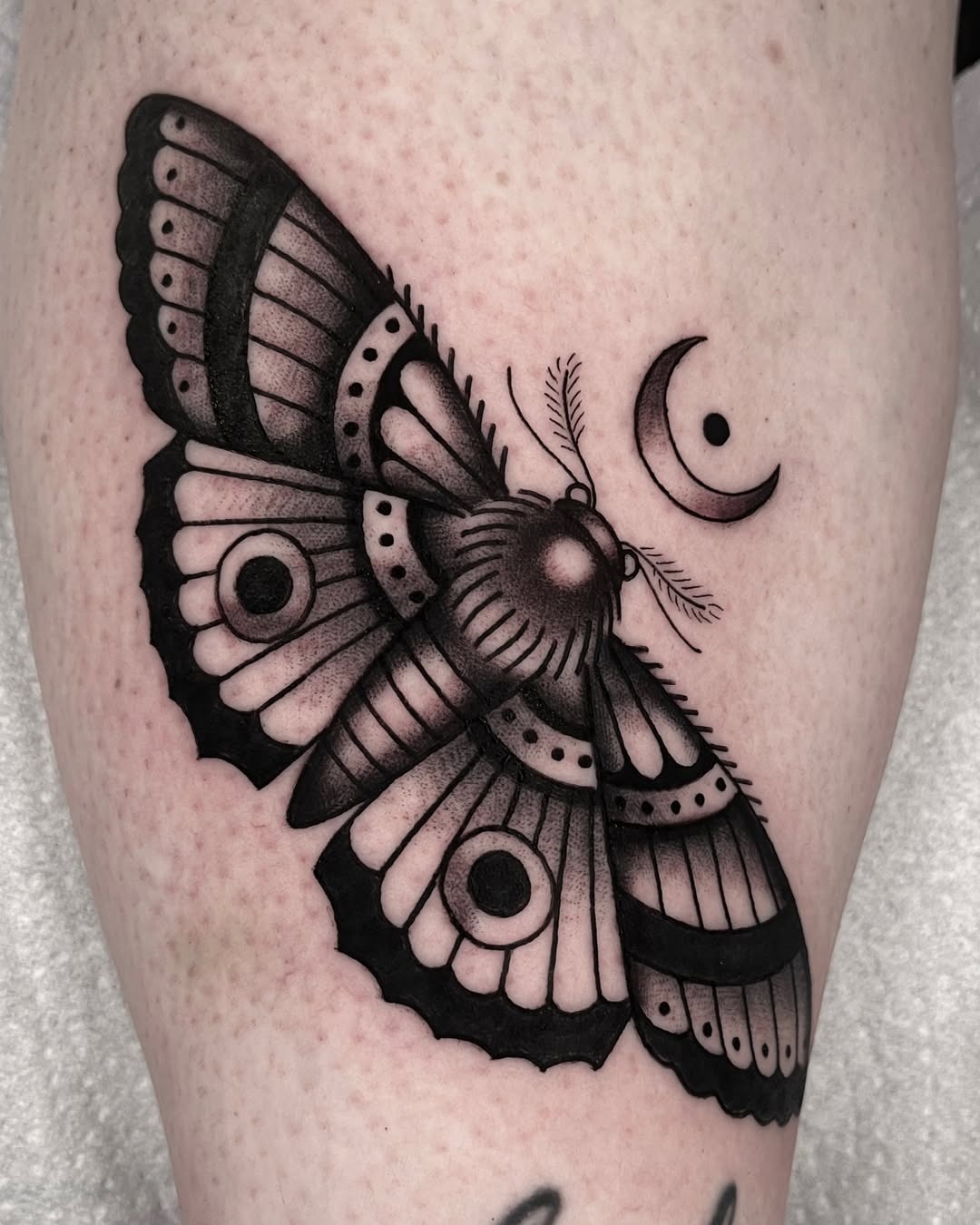 Intricately designed moth tattoo with moon accent Tattoo Design
