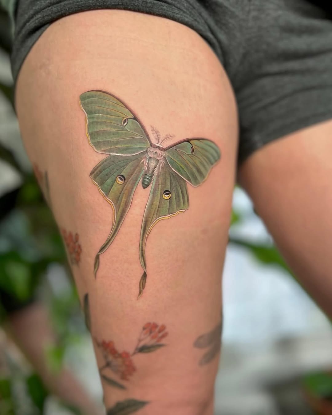 Stunning realistic moth tattoo on thigh. Tattoo Design