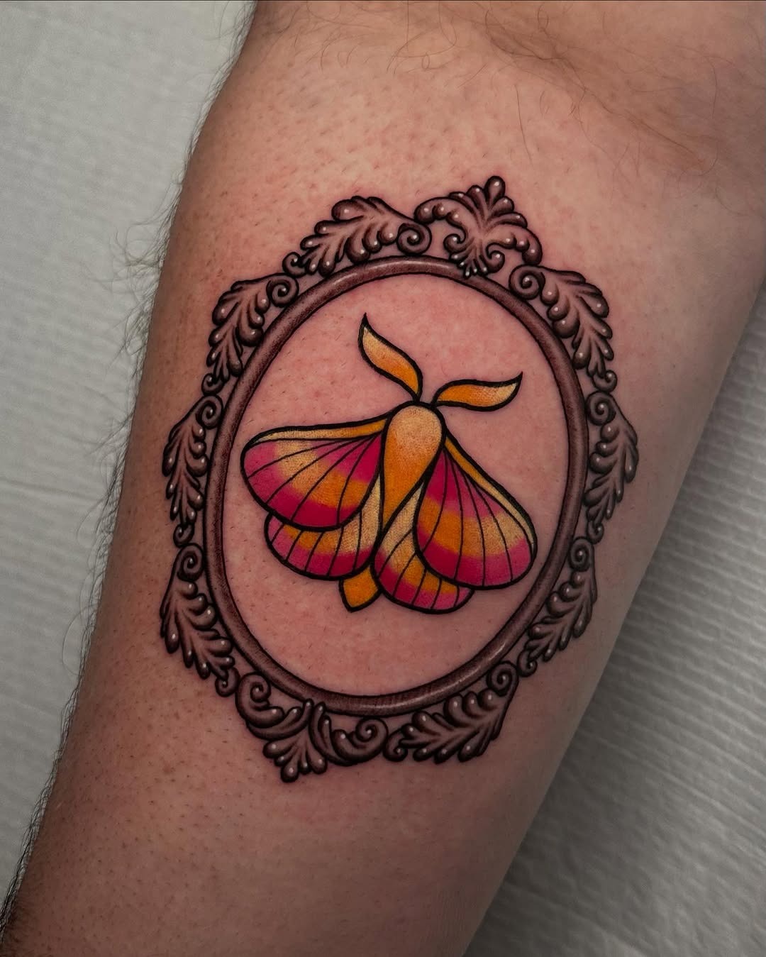 Vibrant framed moth tattoo on a forearm Tattoo Design
