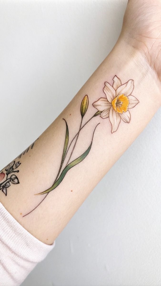 Framed Daisy and Narcissus Contrast Piece Tattoo Design