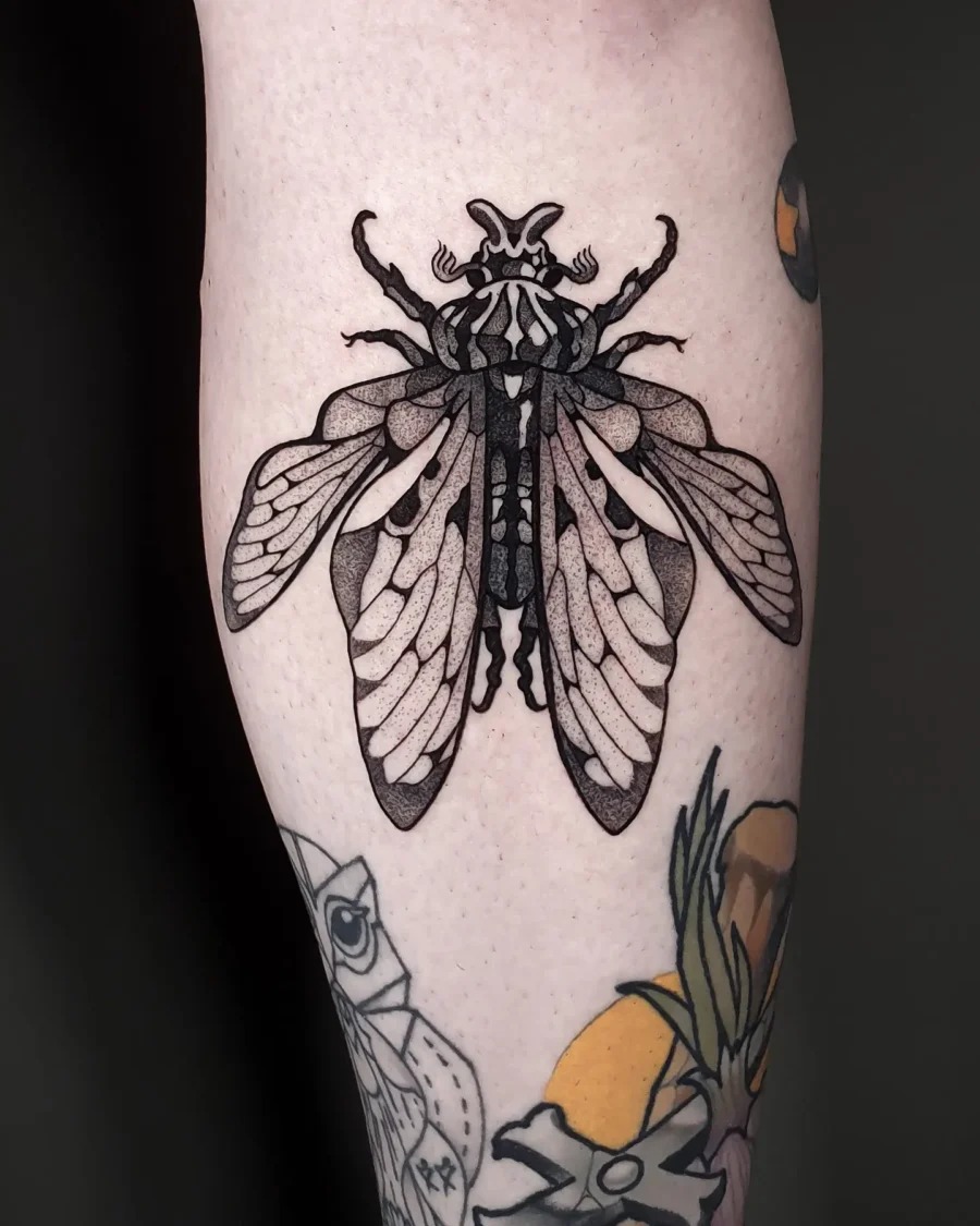 Bold cicada tattoo with intricate details Tattoo Design