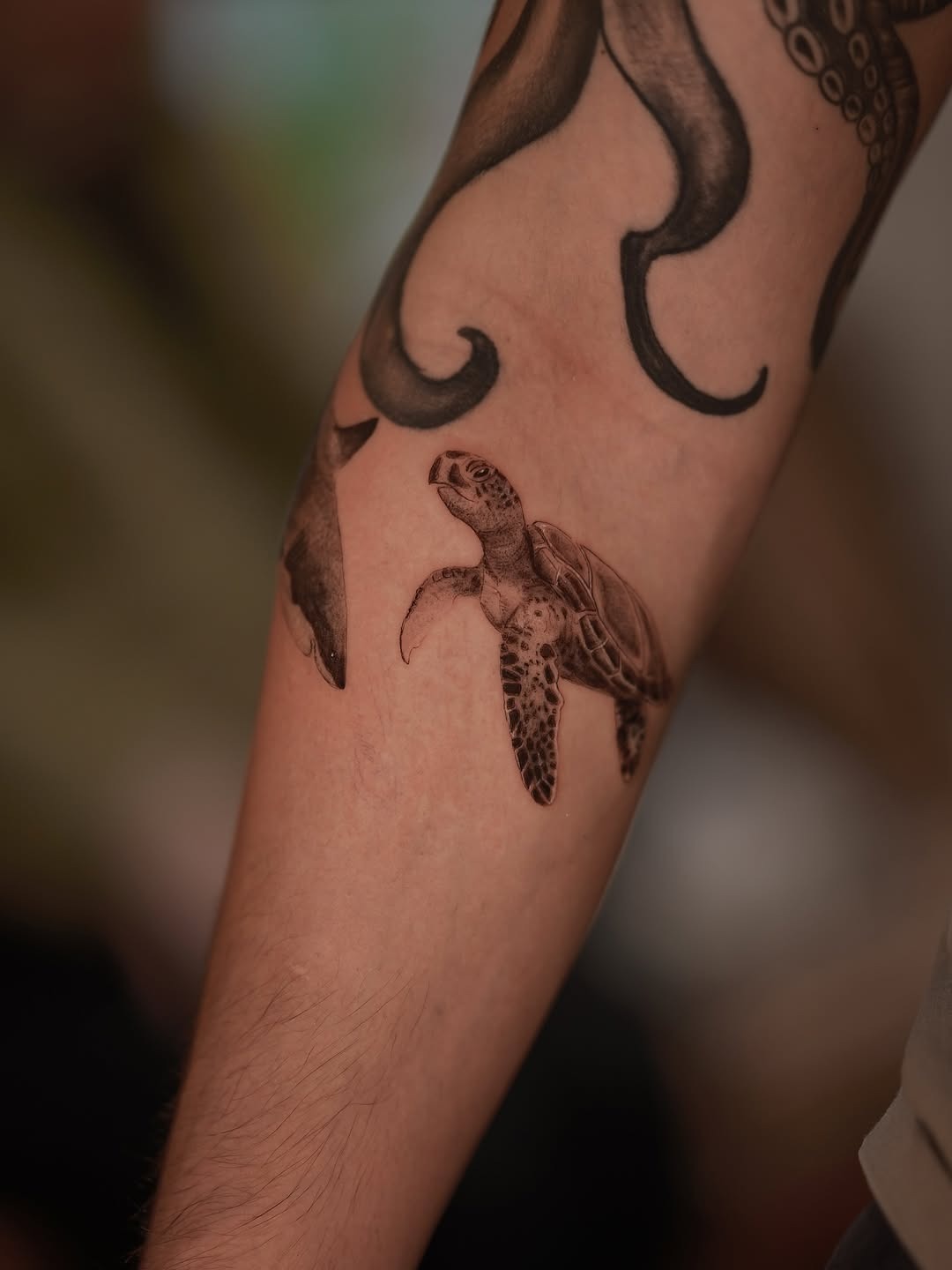 Realistic turtle tattoo on forearm Tattoo Design