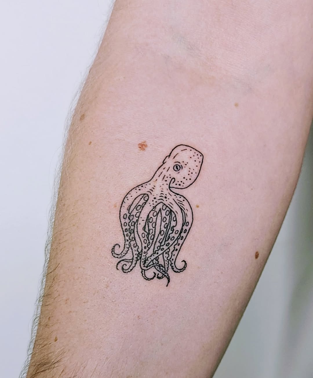 Elegant Octopus Tattoo with Intricate Details Tattoo Design