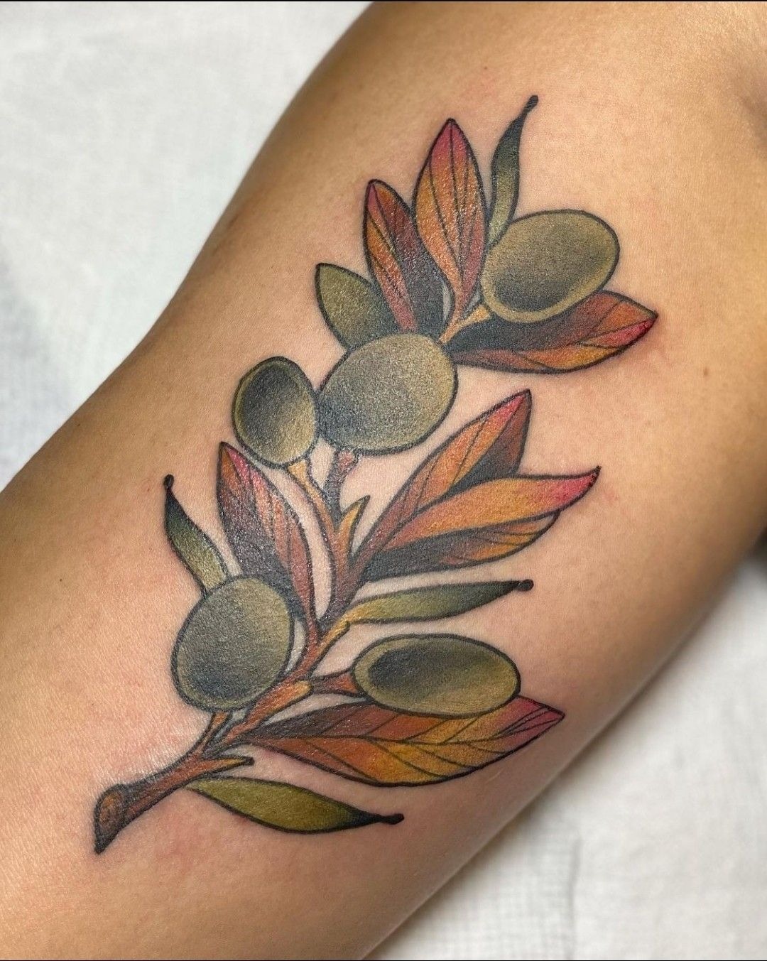 Colorful Olive Branch with Warm Autumn Leaves, a tattoo design rendered in fine-line.