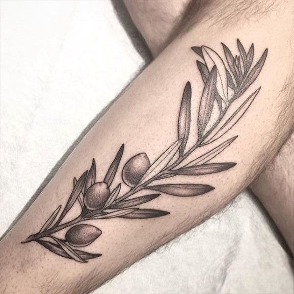 Detailed Olive Branch Forearm Tattoo, a tattoo design rendered in clean detailed linework.