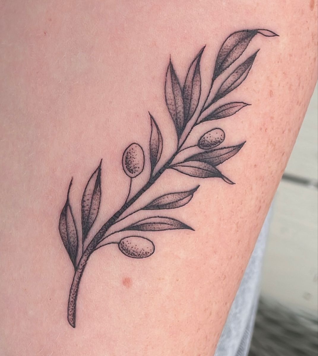 Fine Line Olive Branch with Dotwork Shading, a tattoo design rendered in fine-line for the arm.