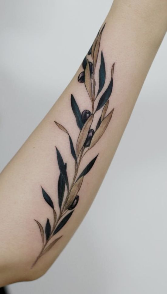 Long Olive Branch Along the Forearm, a tattoo design rendered in clean detailed linework.