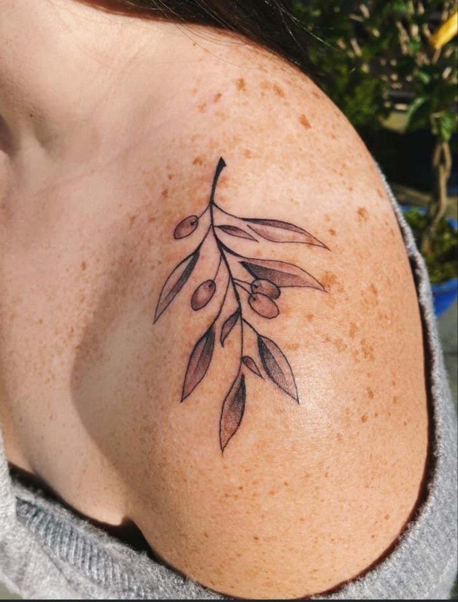 Loose Fine Line Olive Branch on the Shoulder, a tattoo design rendered in sketch-style.
