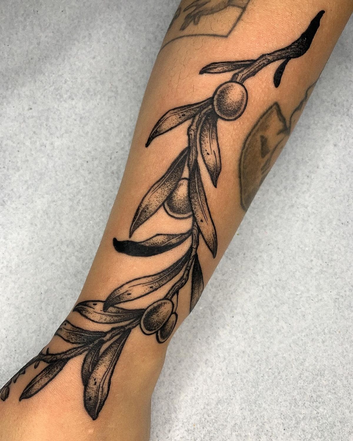 Olive Branch Arm Wrap in Blackwork Style, a tattoo design rendered in delicate fine-line for the forearm.