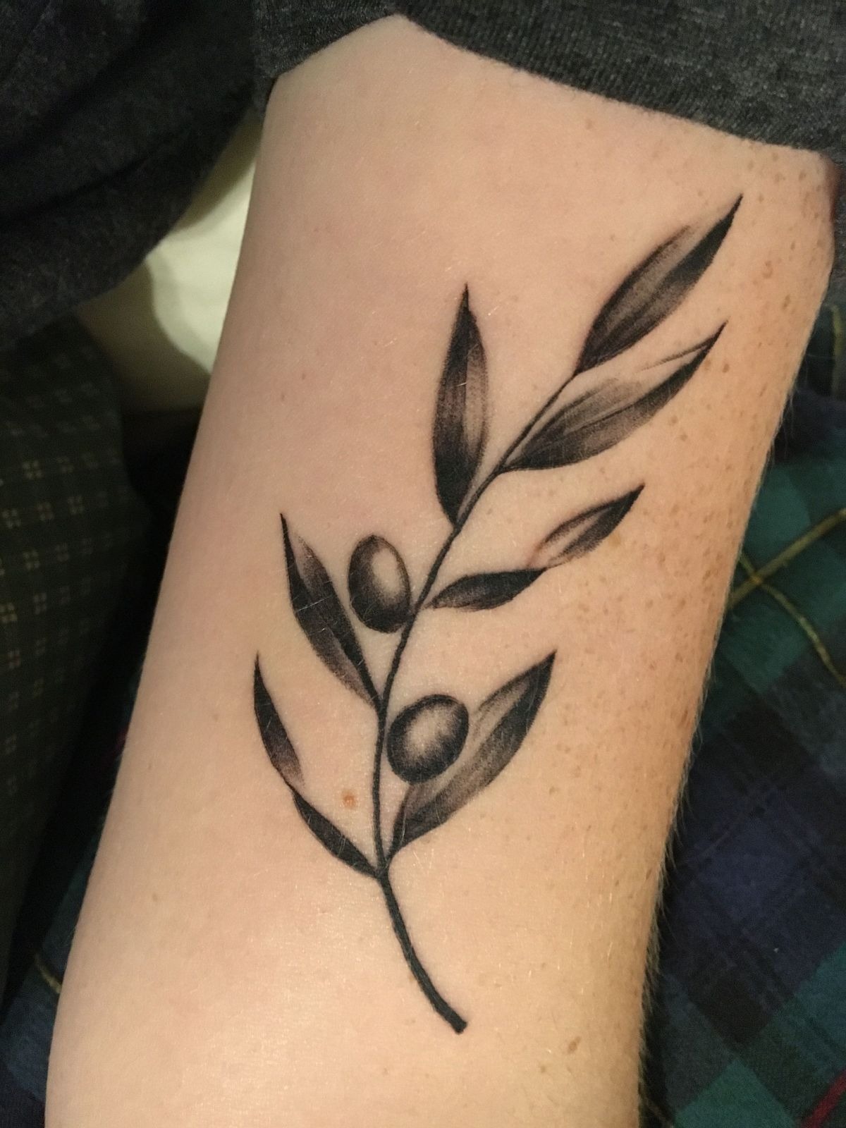 Simple Black Olive Branch on the Inner Arm, a tattoo design rendered in minimalist fine-line.