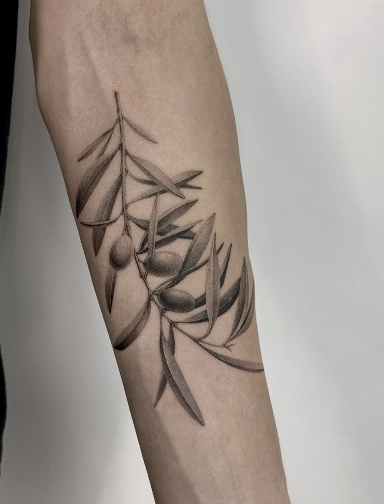 Soft Fine Line Olive Branch on the Forearm, a tattoo design rendered in fine-line.