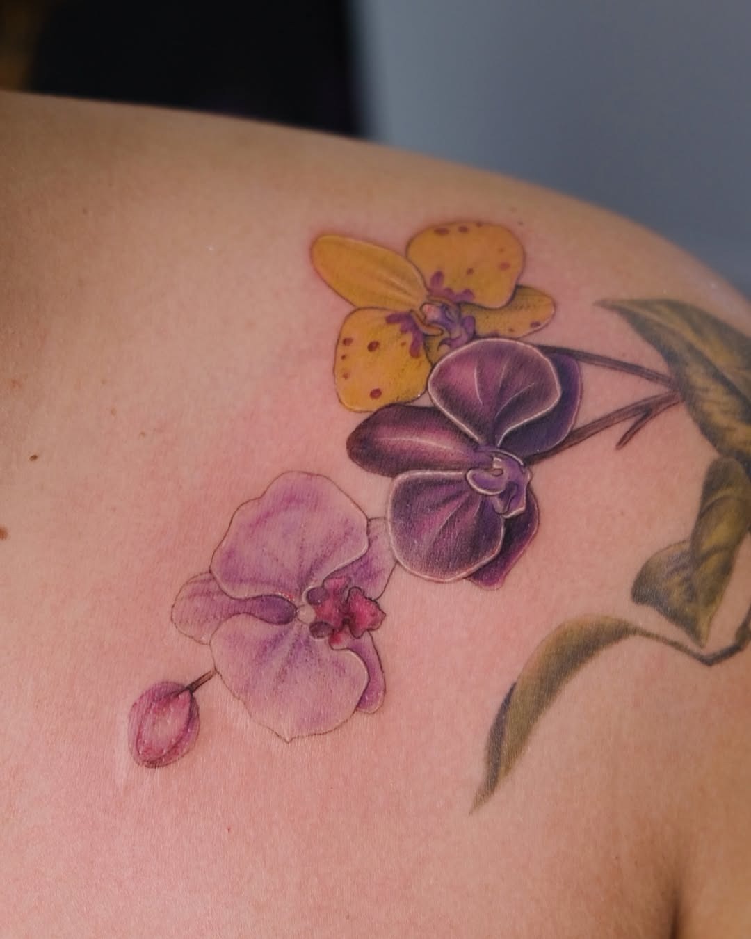 Colorful orchid tattoo on the shoulder Tattoo Design