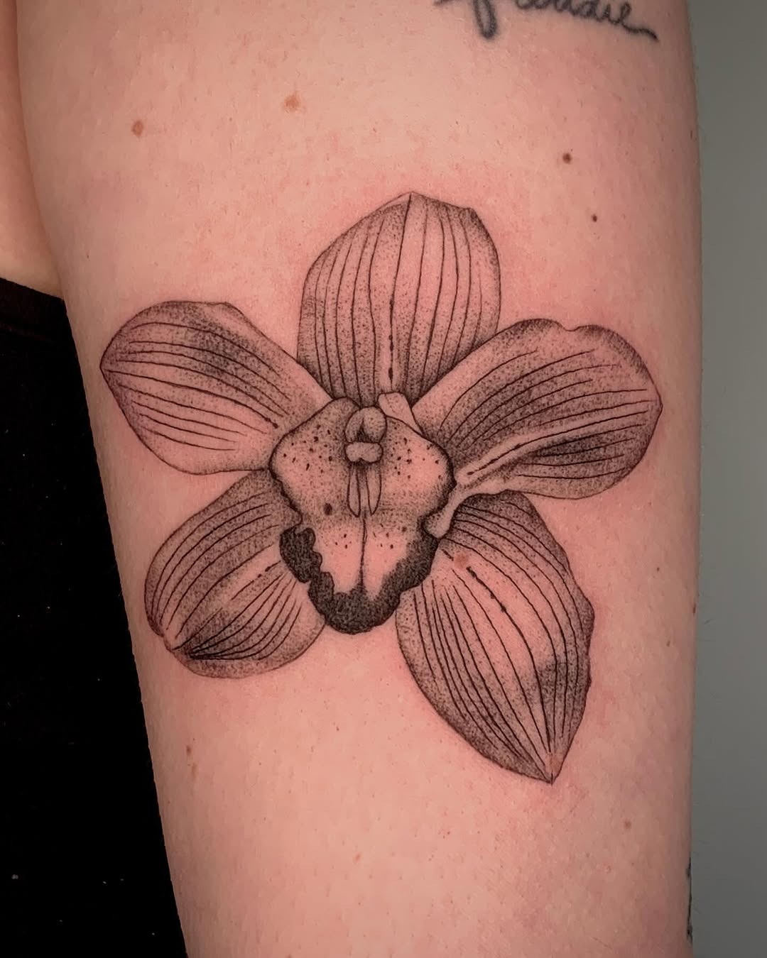 Elegant black-and-gray orchid tattoo design Tattoo Design