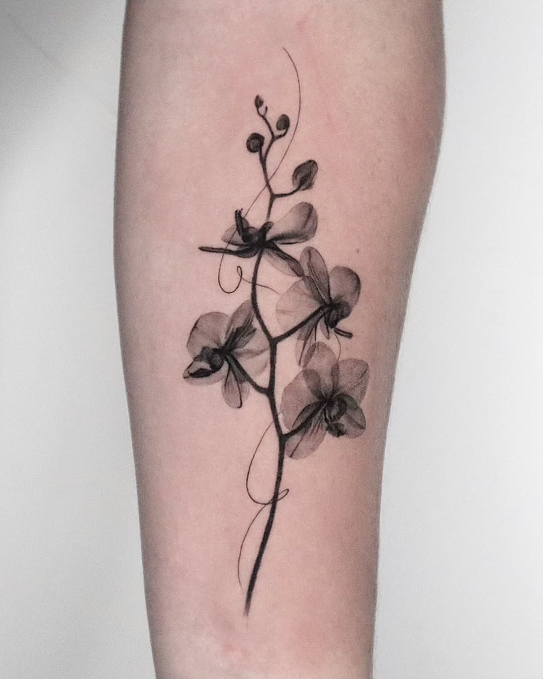 Elegant black orchid tattoo showcasing delicate artistry. Tattoo Design