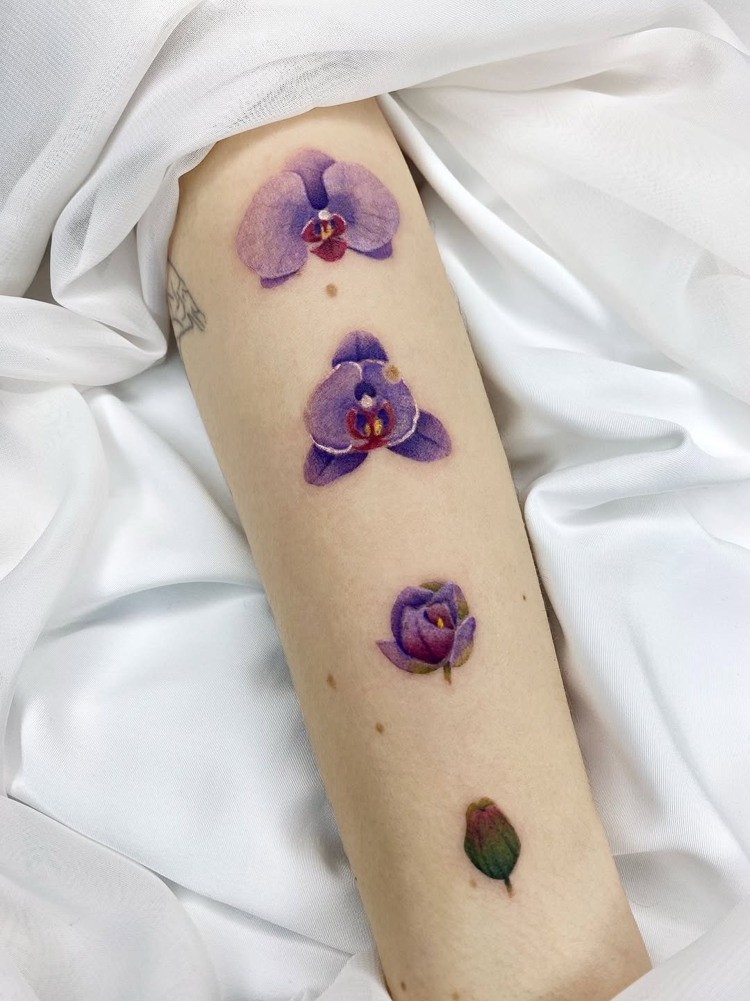 Elegant orchid tattoos for delicate floral expressions Tattoo Design