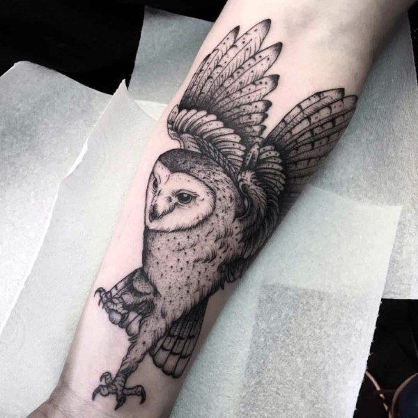 Barn Owl With Raised Wings Tattoo Design