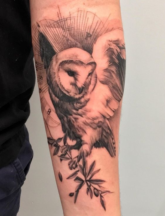 Soft Barn Owl With Botanical Branch Tattoo Design