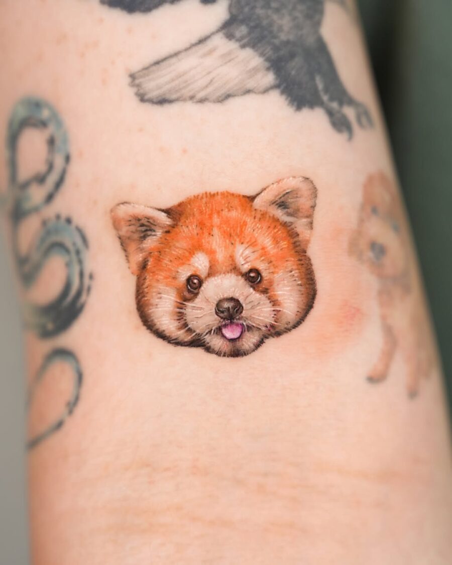 Vibrant Red Panda Tattoo with Realistic Details Tattoo Design