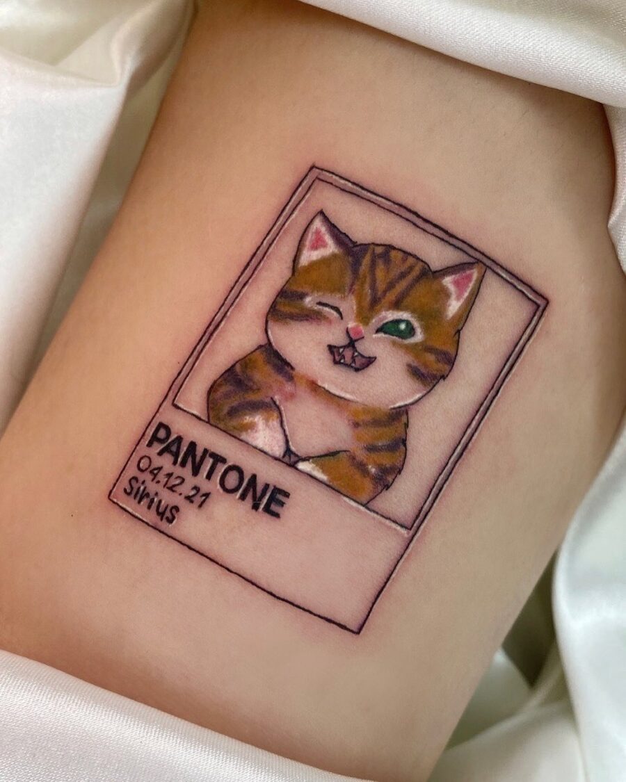 Whimsical Pantone Cat Tattoo Design Tattoo Design