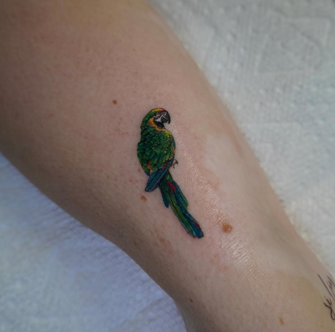 Brightly colored parrot tattoo on leg Tattoo Design