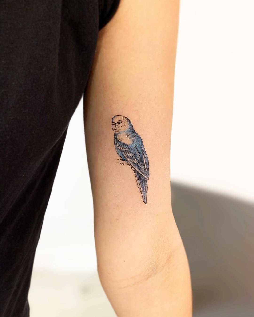 Charming parrot tattoo on inner elbow Tattoo Design