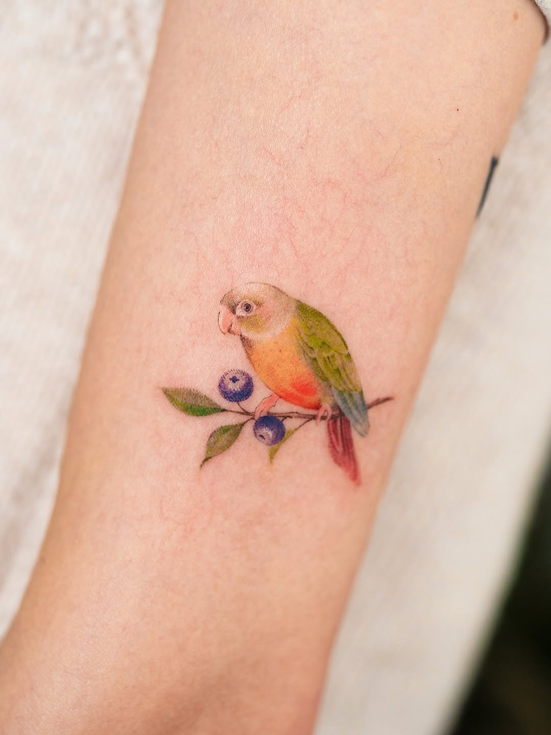 Charming parrot tattoo perched on blueberries Tattoo Design