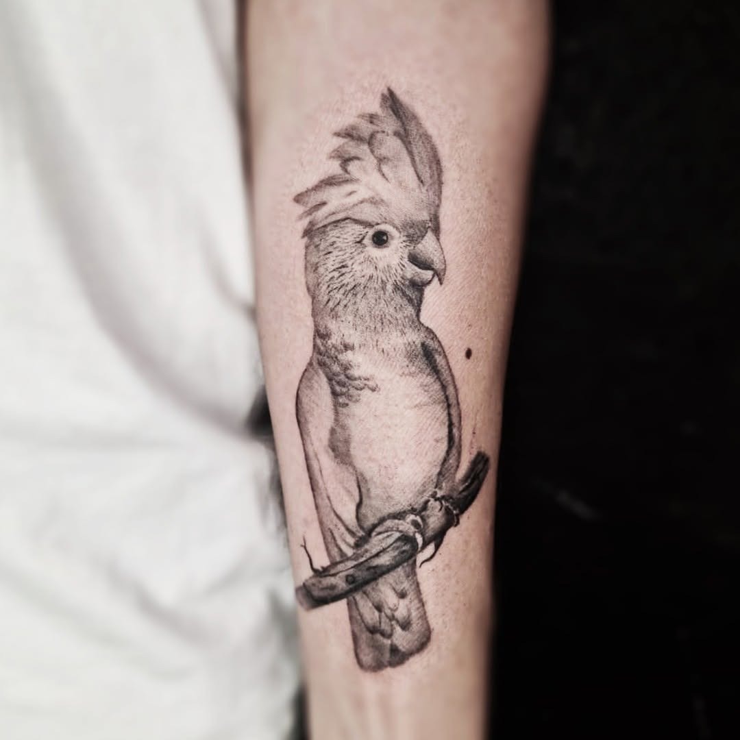 Elegant black and white parrot tattoo design Tattoo Design