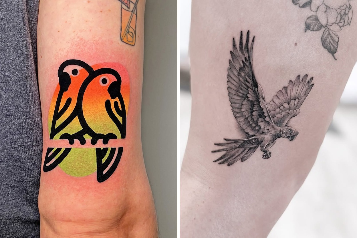 Parrot Tattoos Featured Lookbook Collage