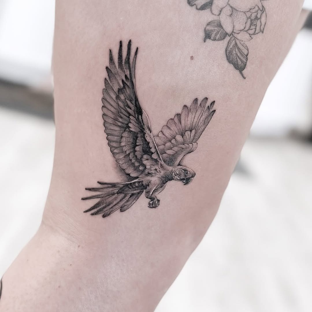 Stunning detailed parrot tattoo in flight Tattoo Design