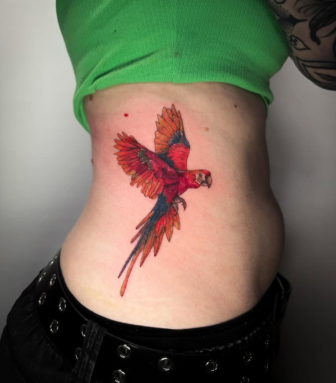 Vibrant macaw tattoo on the side body Tattoo Design