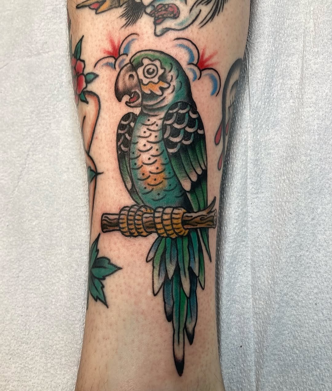 Vibrant parrot tattoo showcasing detailed artistry Tattoo Design