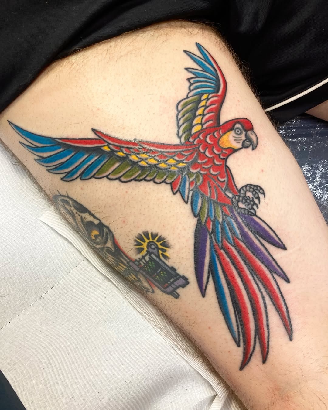 Vibrant parrot tattoo with stunning color contrasts Tattoo Design