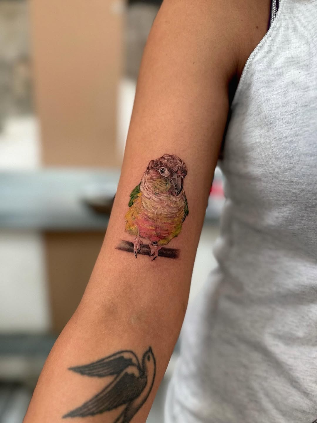 Vivid parrot tattoo on arm showcases artistry Tattoo Design