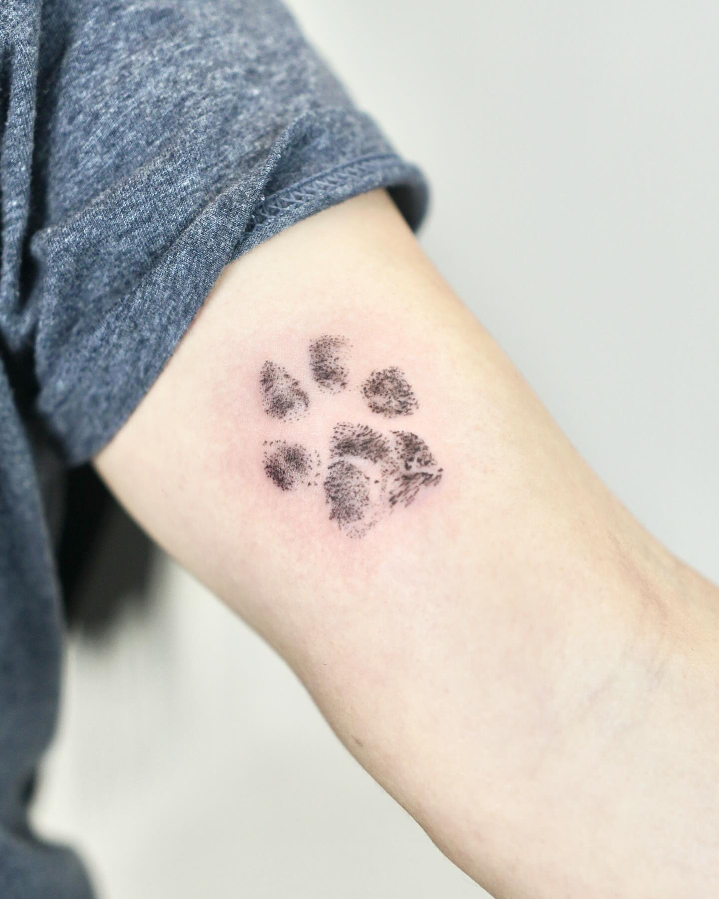 Ink Pawprint Impression Tattoo Tattoo Design